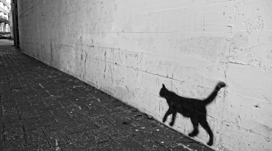 Schatten Katze Kunstwerk